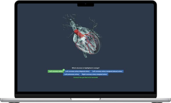 Perceptual-Adaptive Learning Modules (PALMs): From Cognitive Science to Product PoC thumbnail